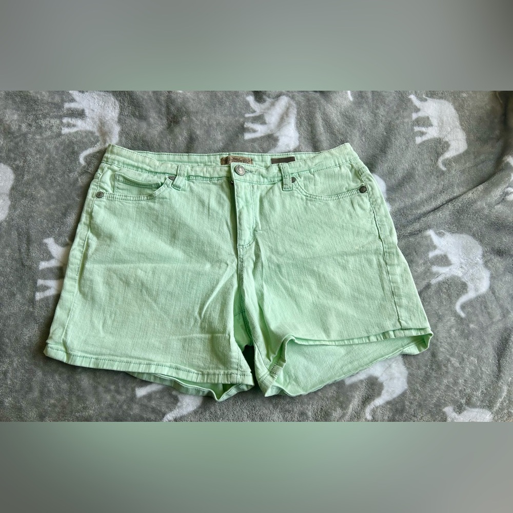 Vintage America Mint Green Jean Shorts